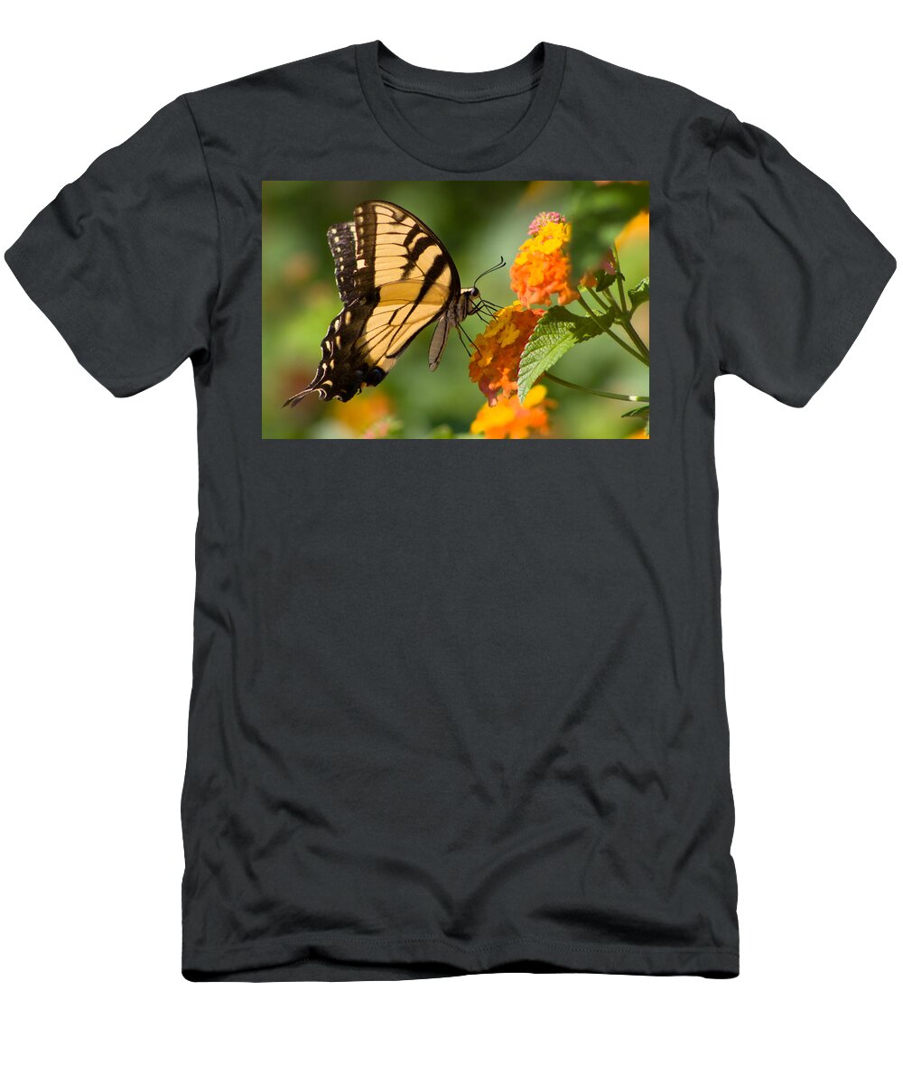 Butterfly T-Shirt featuring the photograph Tiger Swallowtail #3 by Lynne Jenkins