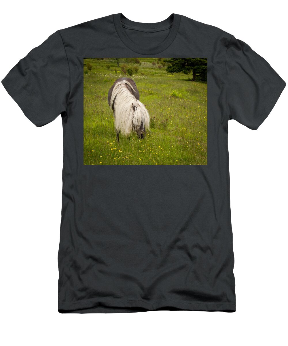 Appalachian Trail T-Shirt featuring the photograph Wild Horses by Joye Ardyn Durham