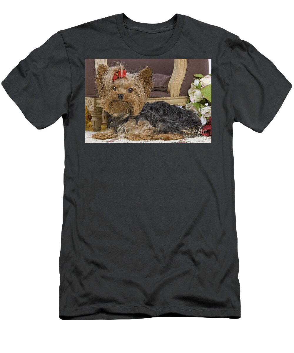 Dog T-Shirt featuring the photograph Yorkshire Terrier #3 by Jean-Michel Labat