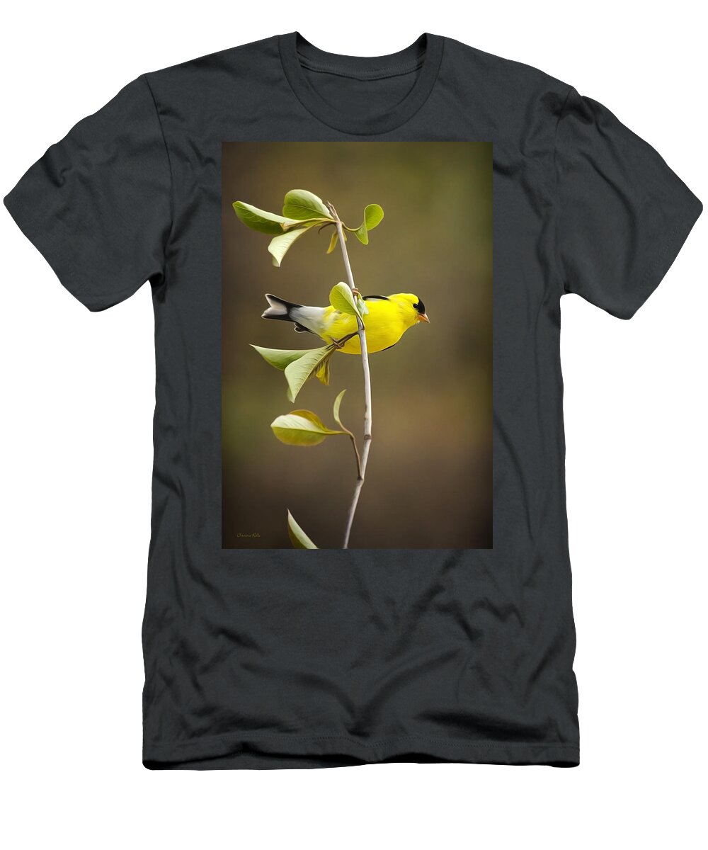 Goldfinch T-Shirt featuring the painting American Goldfinch by Christina Rollo