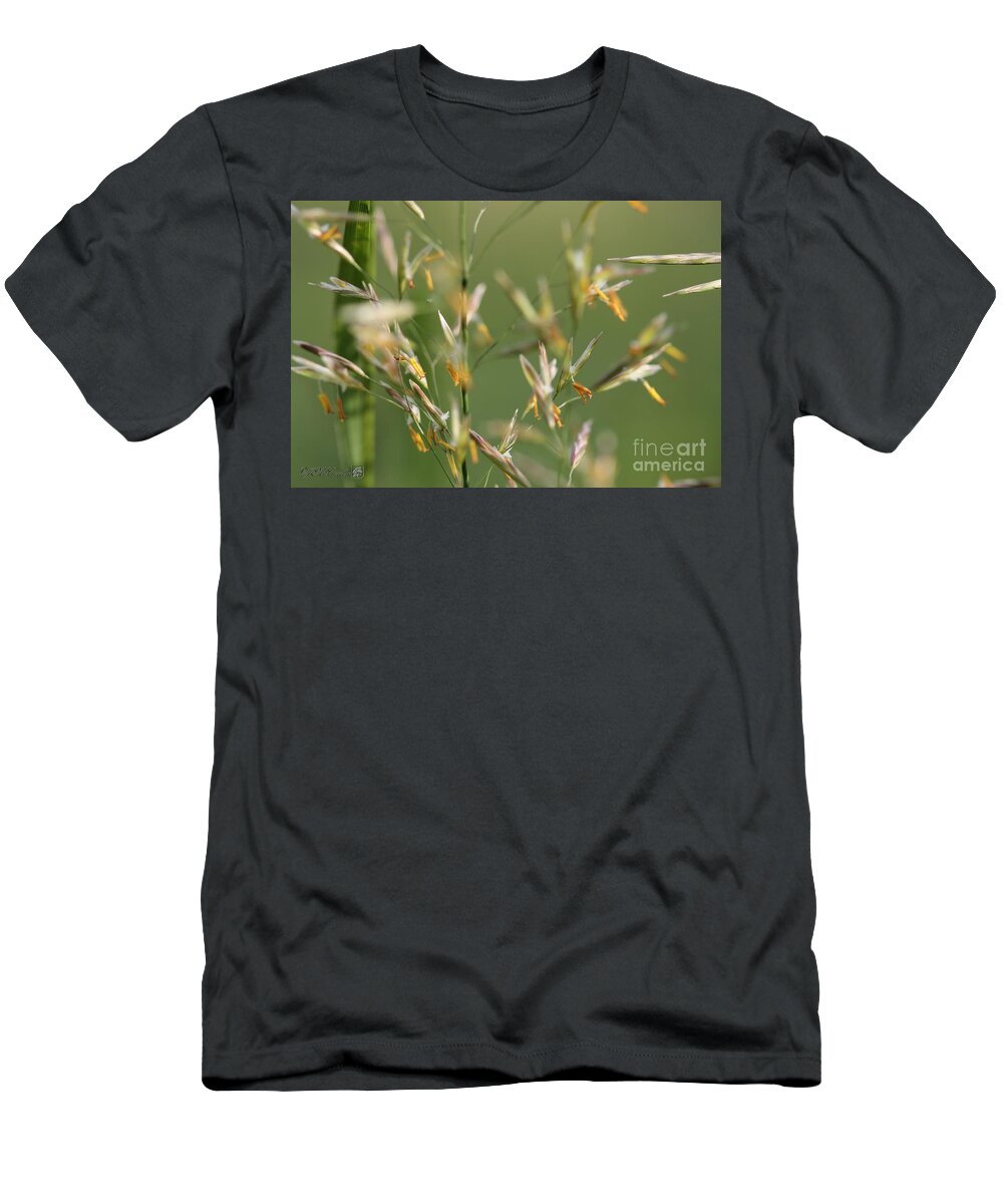 Mccombie T-Shirt featuring the photograph Flowering Brome Grass #4 by J McCombie