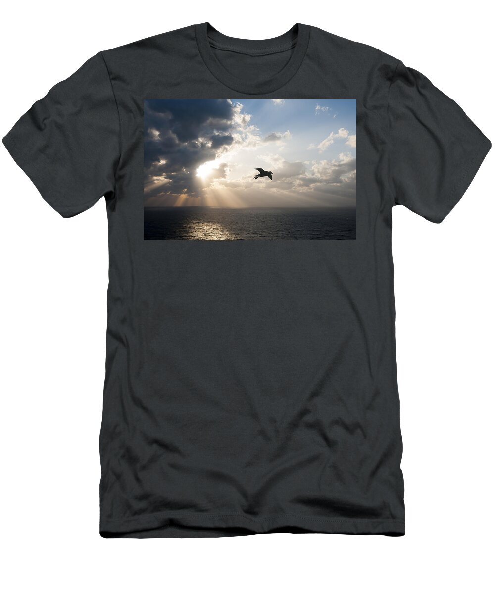 536908 T-Shirt featuring the photograph Short-tailed Albatross Flying Torishima #4 by Tui De Roy