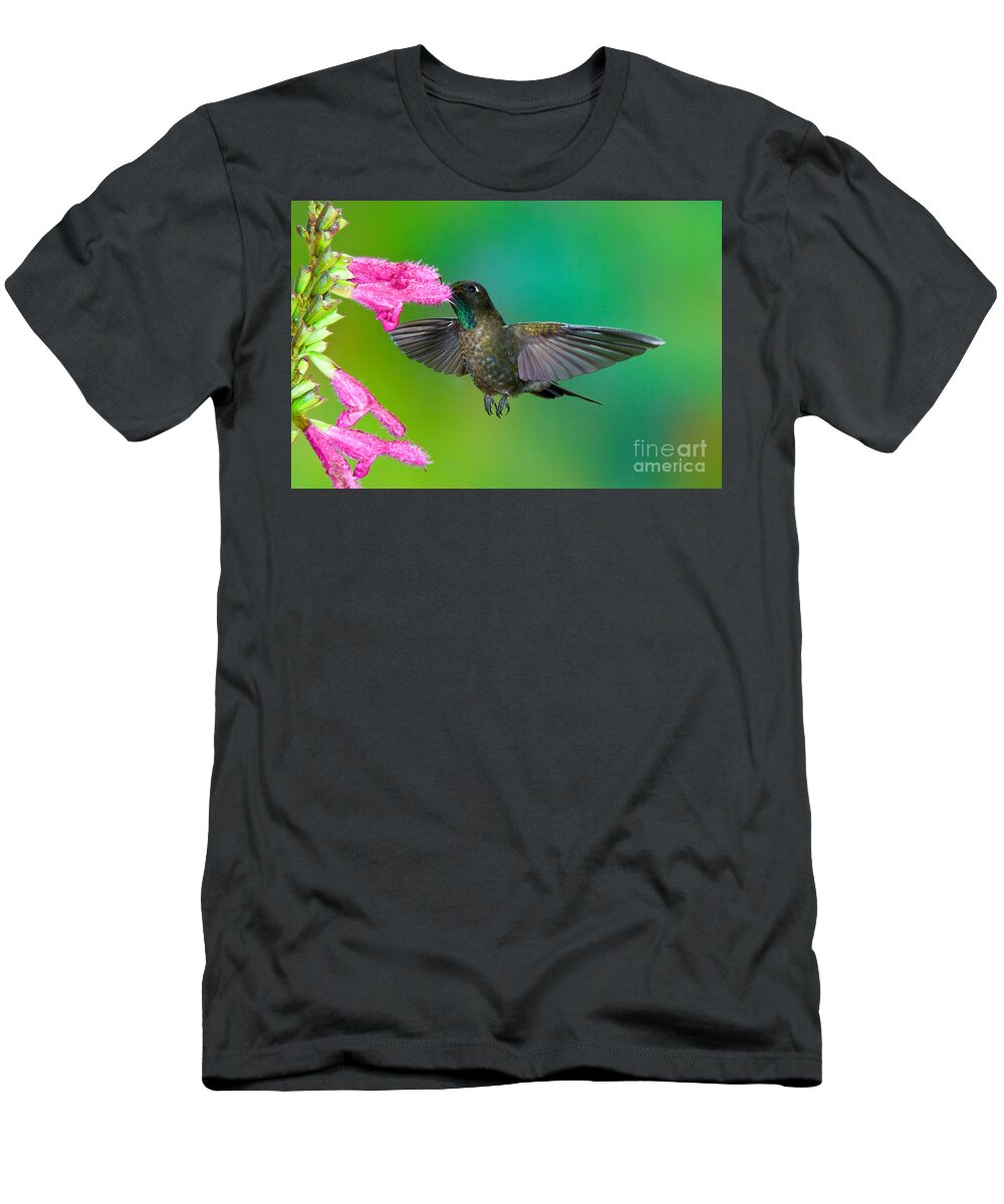 Animal T-Shirt featuring the photograph Tyrian Metaltail #4 by Anthony Mercieca