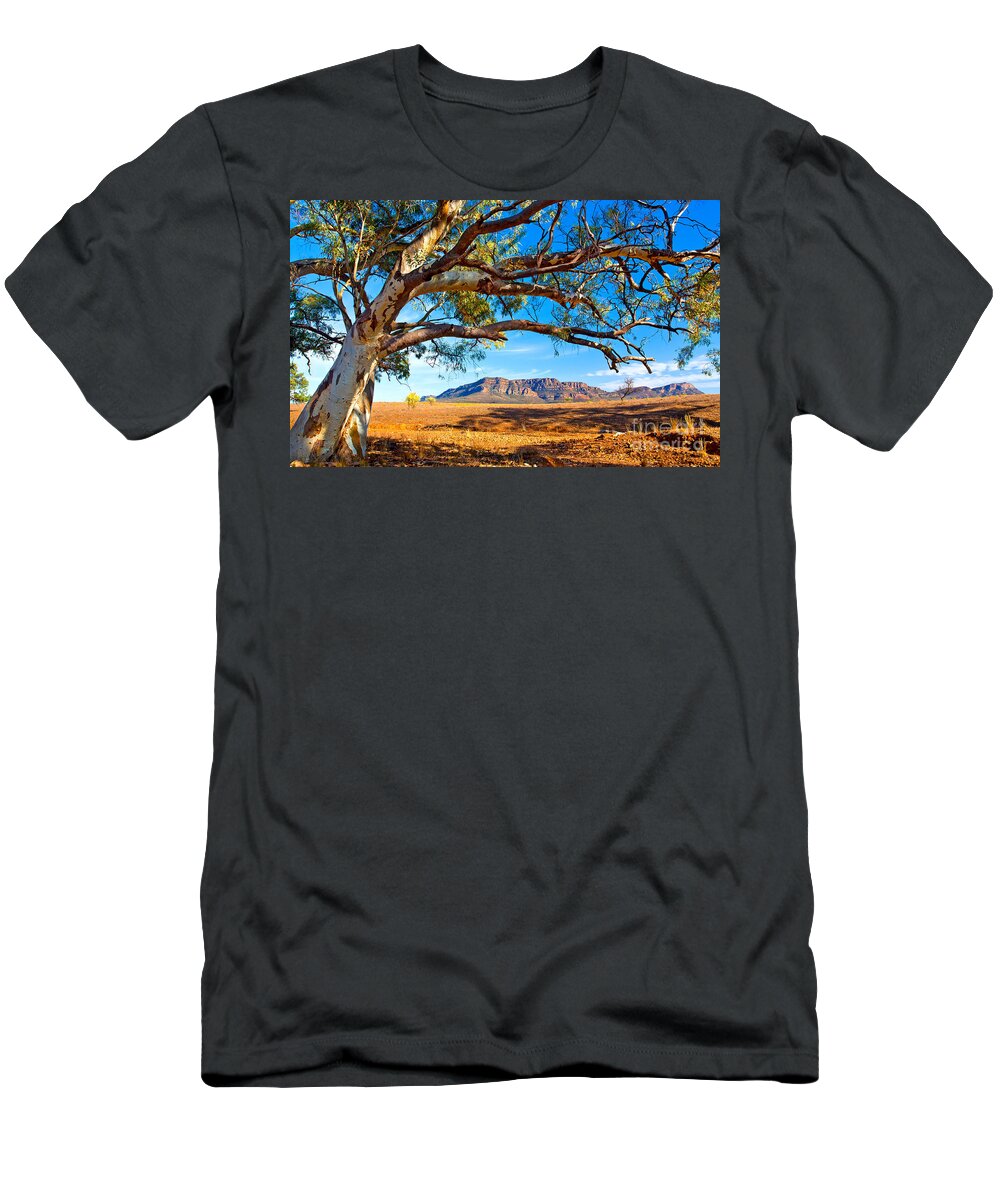 Wilpena Pound Flinders Ranges South Australia Outback Landscape T-Shirt featuring the photograph Wilpena Pound by Bill Robinson