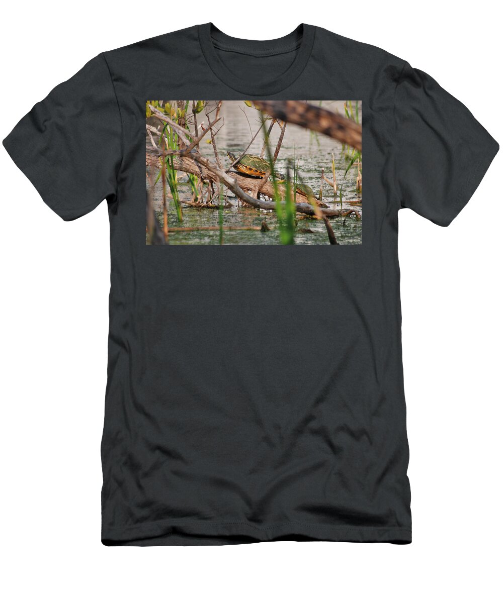 Red-bellied Turtle T-Shirt featuring the photograph 42- Florida Red-Bellied Turtle by Joseph Keane