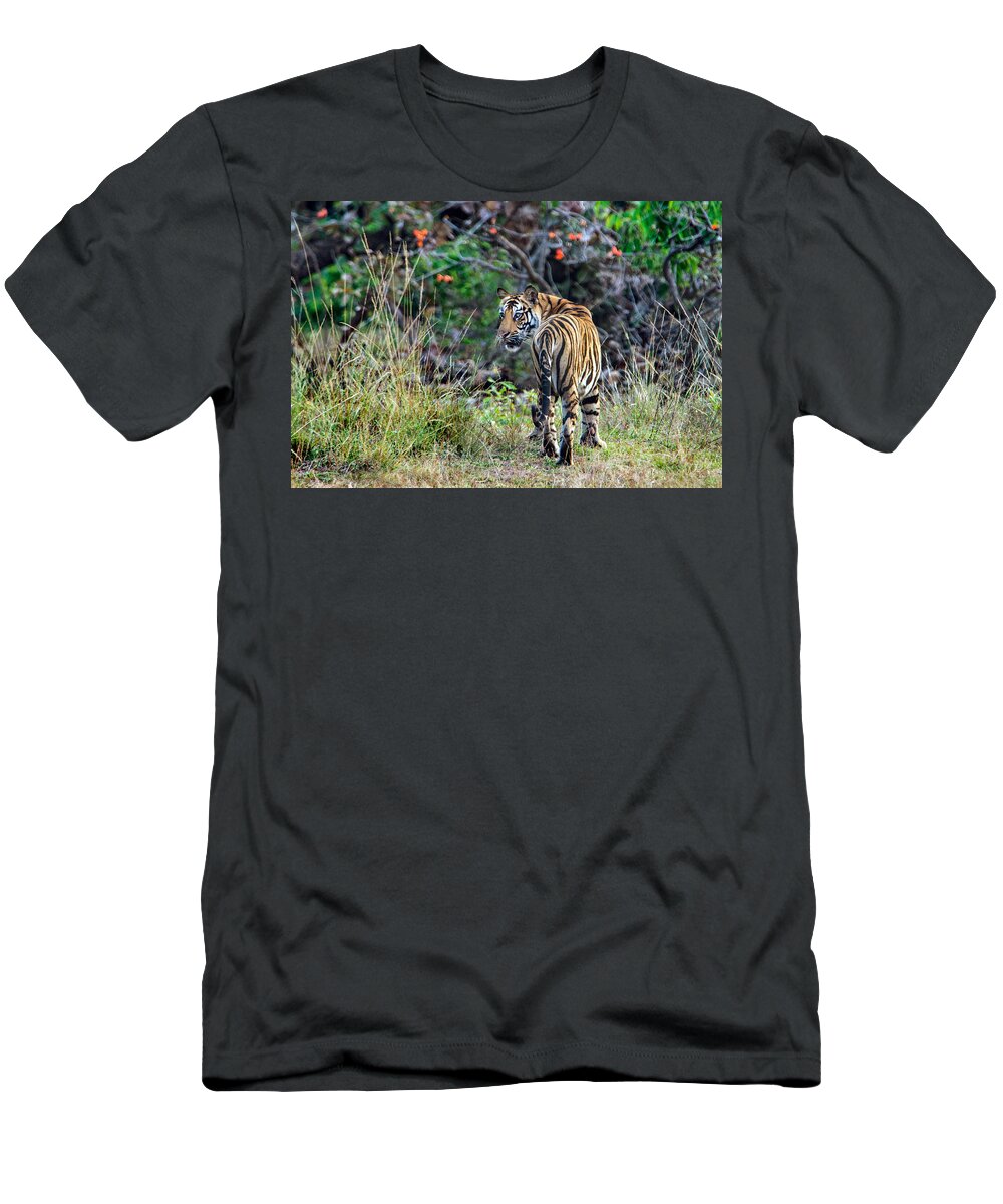 Photography T-Shirt featuring the photograph Bengal Tiger Panthera Tigris Tigris #5 by Panoramic Images