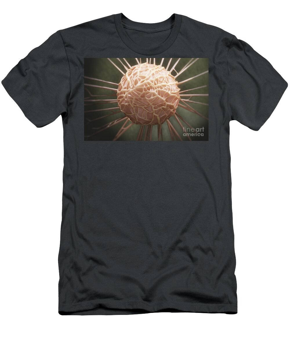 Cells T-Shirt featuring the photograph Cancer Cell #5 by Science Picture Co