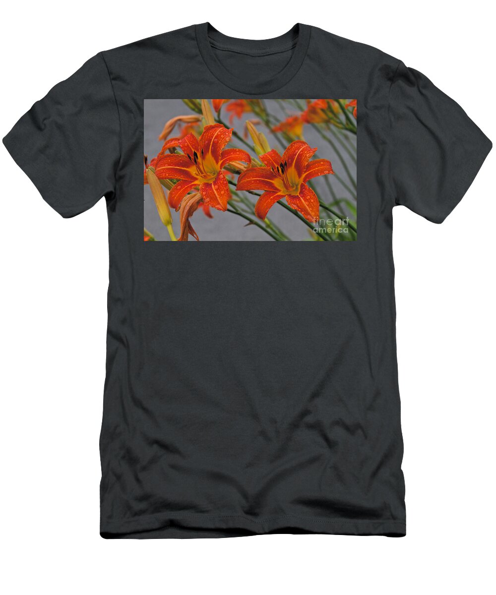 Day Lilly T-Shirt featuring the photograph Day Lilly by William Norton