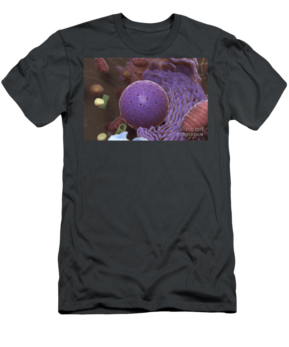 Cells T-Shirt featuring the photograph Inner Workings Of A Human Cell #5 by Science Picture Co
