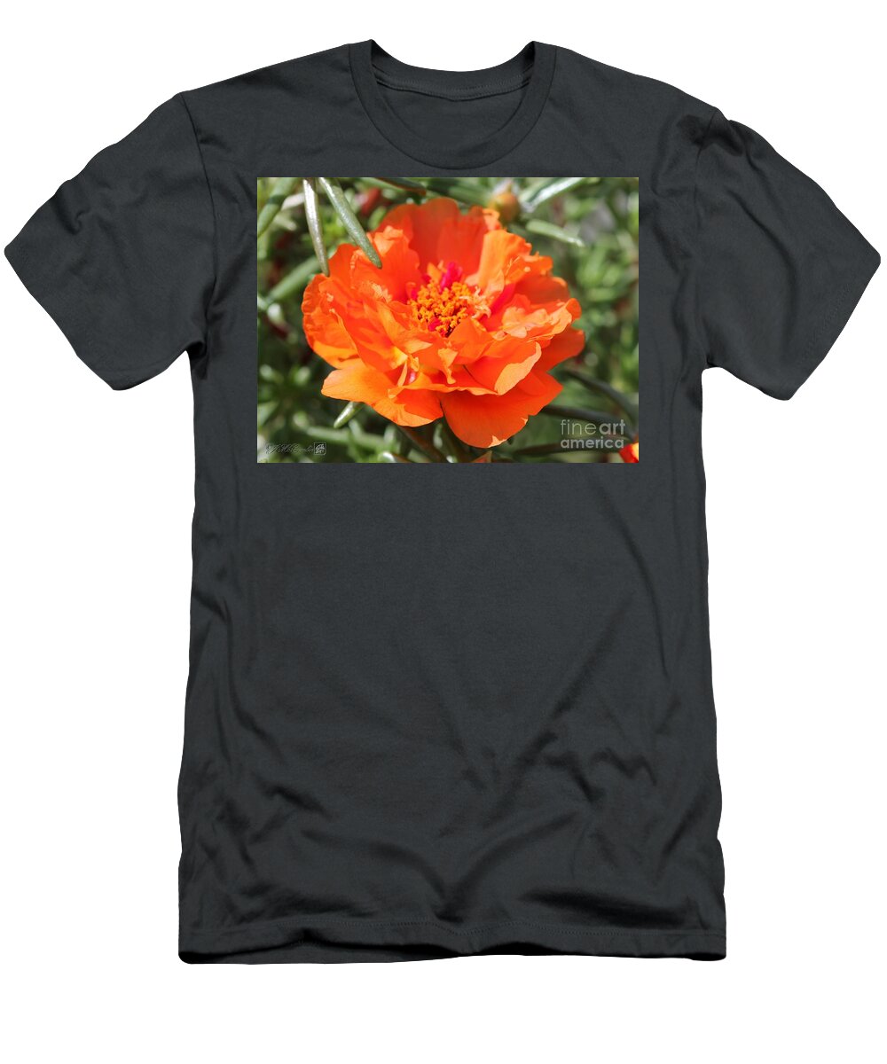 Mccombie T-Shirt featuring the photograph Portulaca named Sundial Tangerine #5 by J McCombie