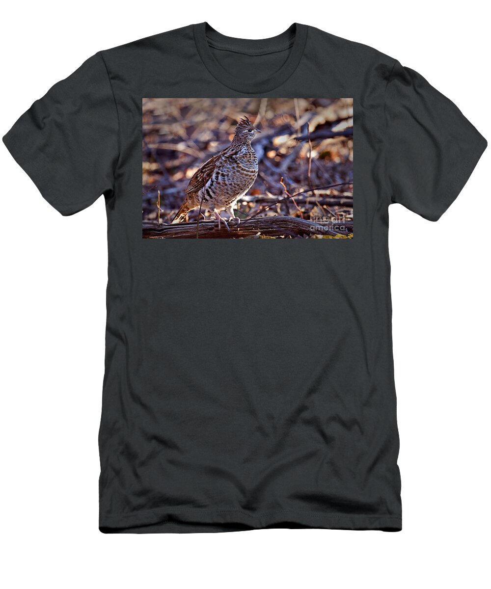 Bedford T-Shirt featuring the photograph Ruffed Grouse by Ronald Lutz