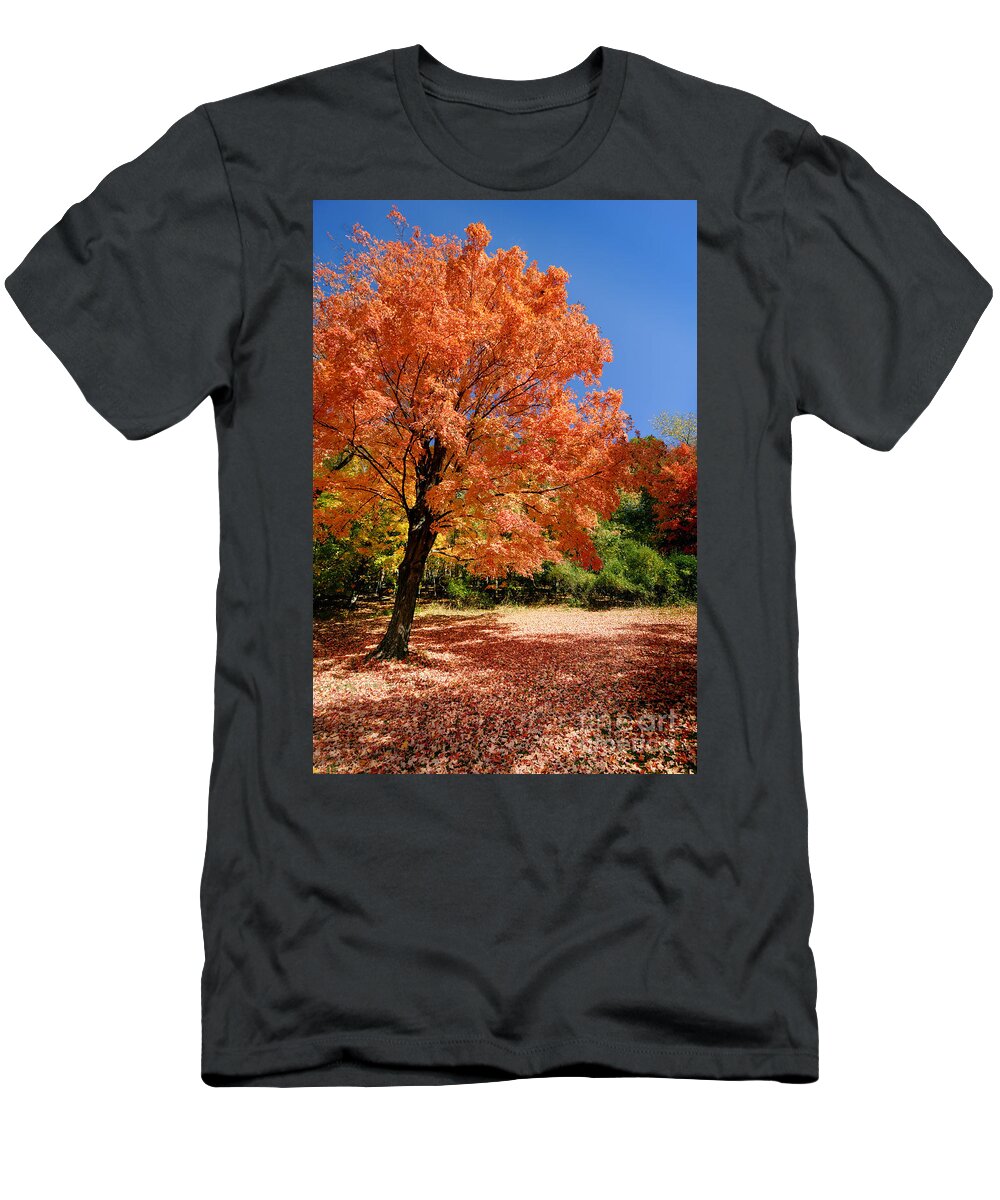 Autumn T-Shirt featuring the photograph A Blanket of Fall Colors #6 by Amy Cicconi