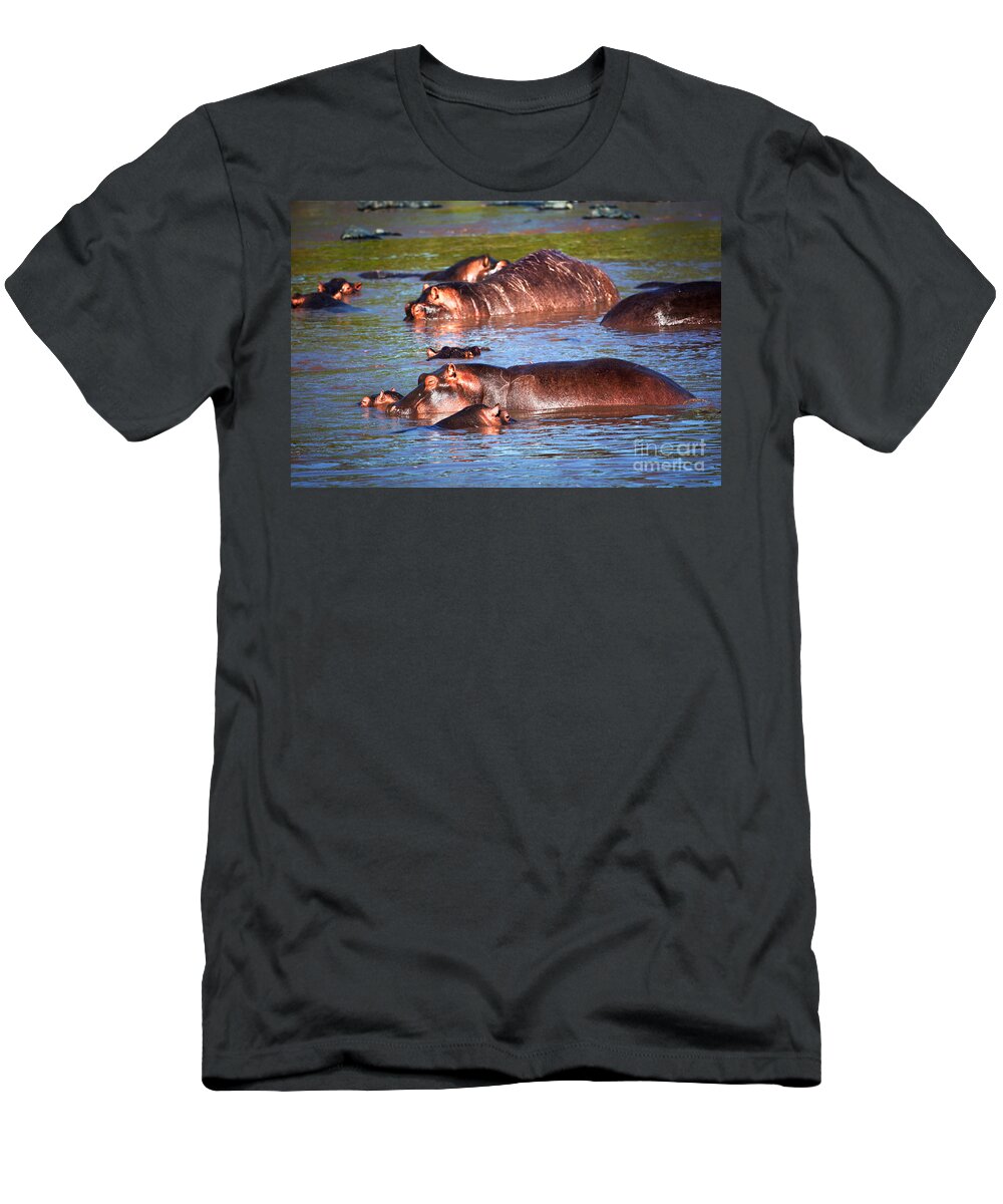 Hippo T-Shirt featuring the photograph Hippopotamus in river. Serengeti. Tanzania #7 by Michal Bednarek
