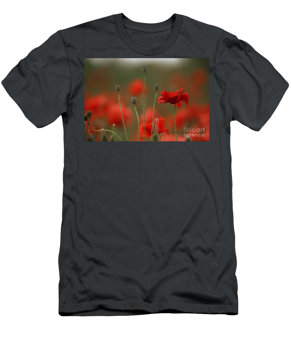 Poppy T-Shirt featuring the photograph Red #7 by Nailia Schwarz