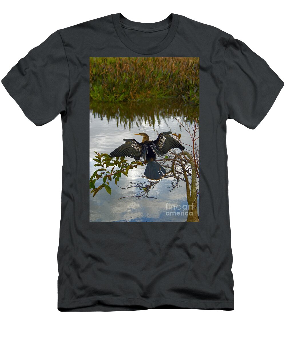 Fauna T-Shirt featuring the photograph Anhinga #8 by Mark Newman