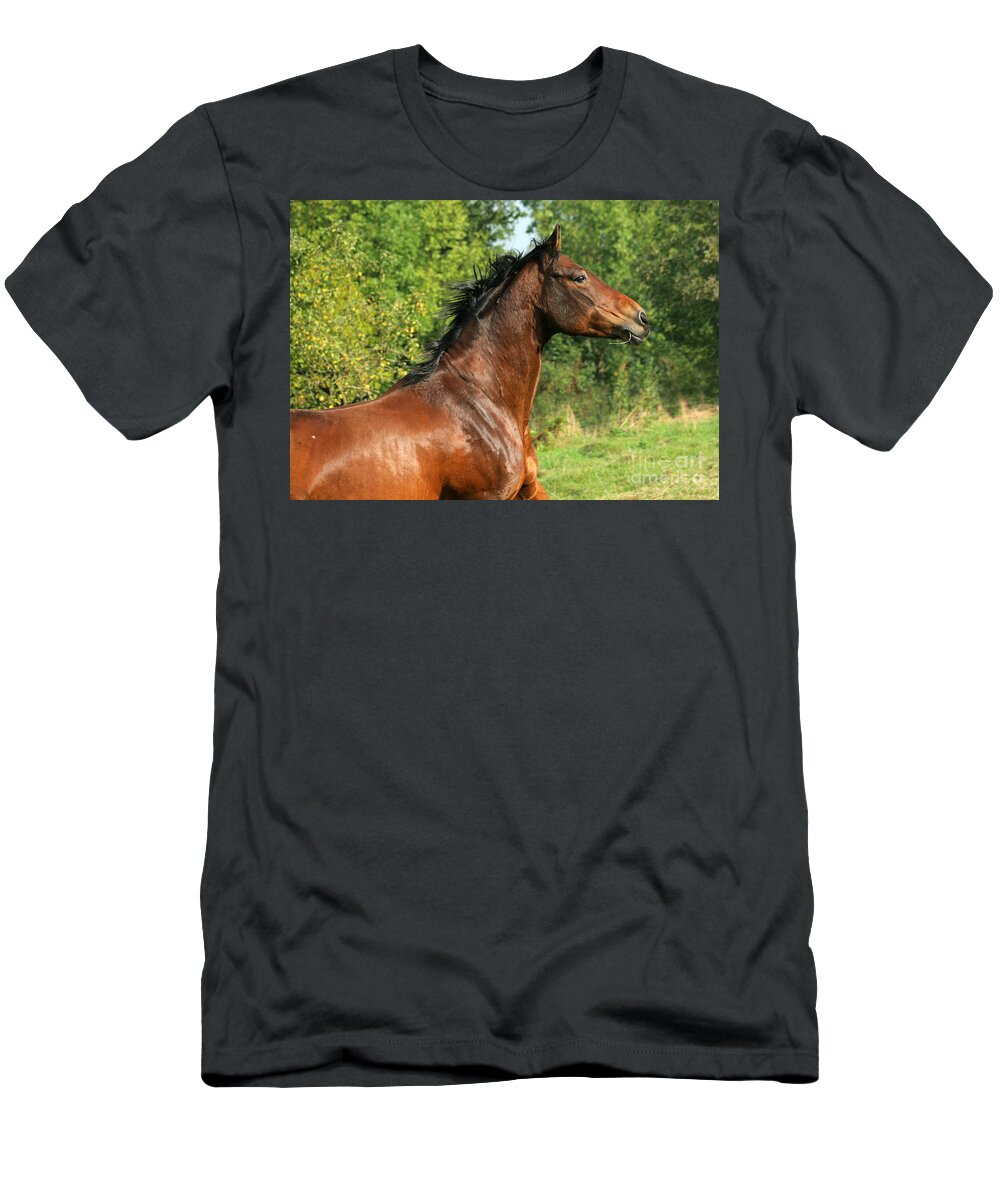 Horse T-Shirt featuring the photograph The Bay Horse #8 by Ang El