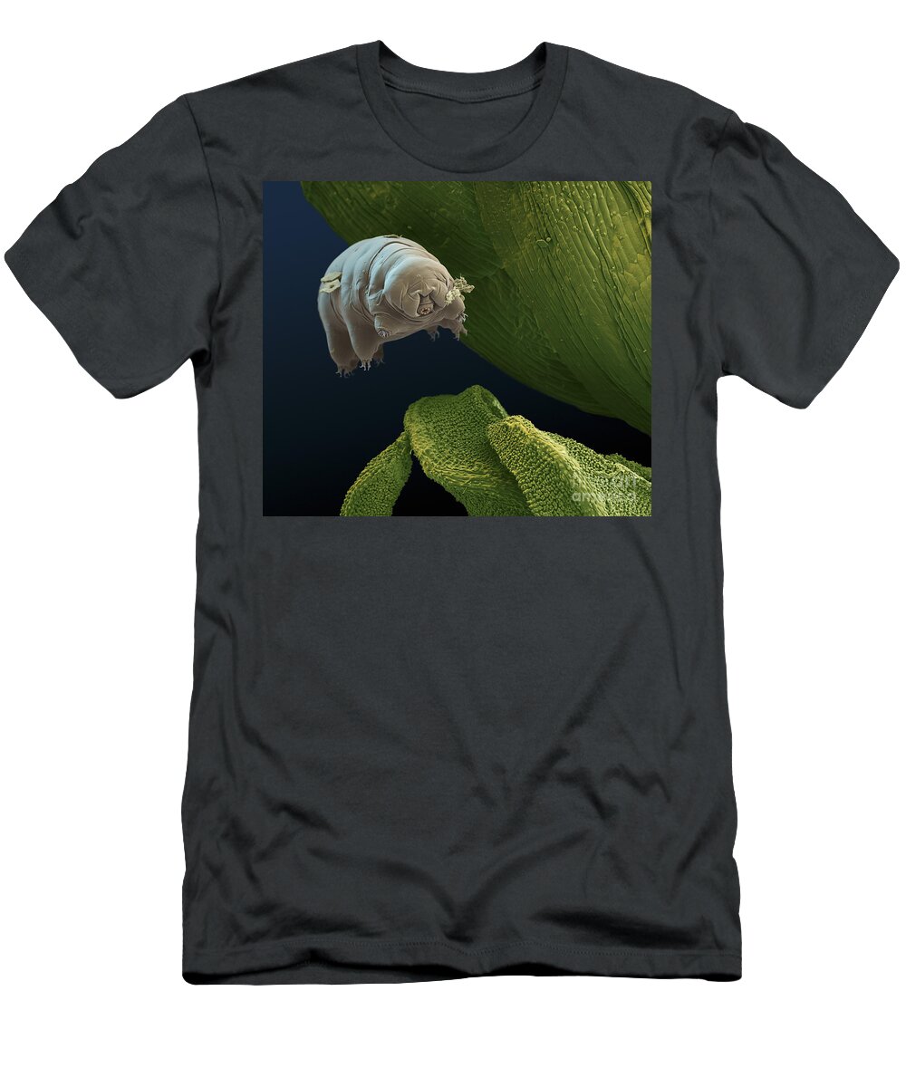 Paramacrobiotus Kenianus T-Shirt featuring the photograph Water Bear #8 by Eye of Science and Science Source