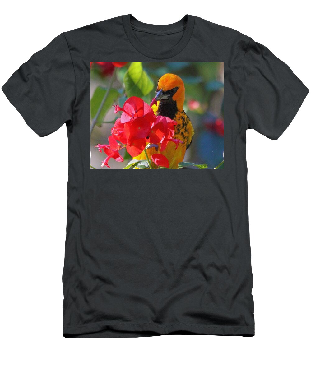Birds T-Shirt featuring the photograph Spot-Breasted Oriole #9 by Dart Humeston