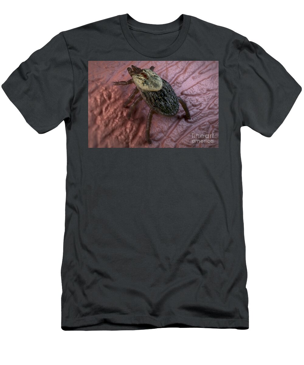 3d Visualisation T-Shirt featuring the photograph Tick Ixodes #9 by Science Picture Co