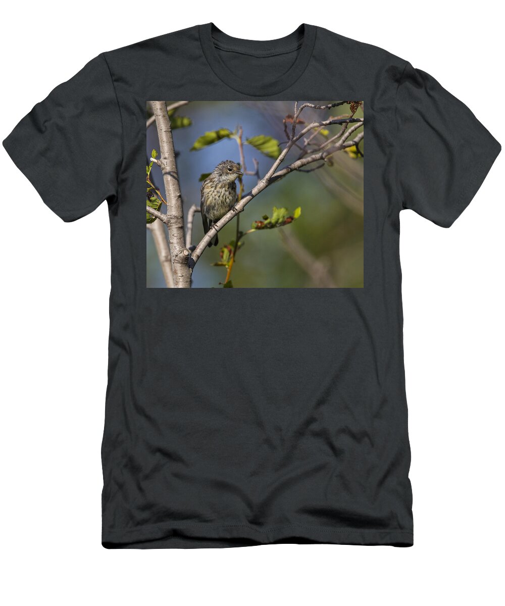 Doug Lloyd T-Shirt featuring the photograph Yellowrumped Warbler #9 by Doug Lloyd
