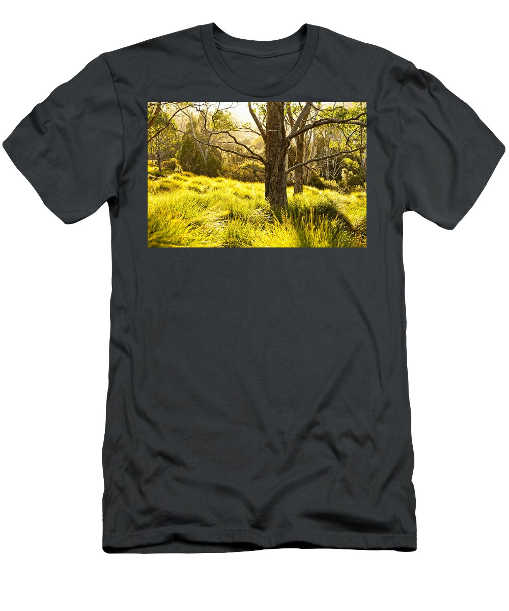 Autumn T-Shirt featuring the photograph A Bare Tree by U Schade