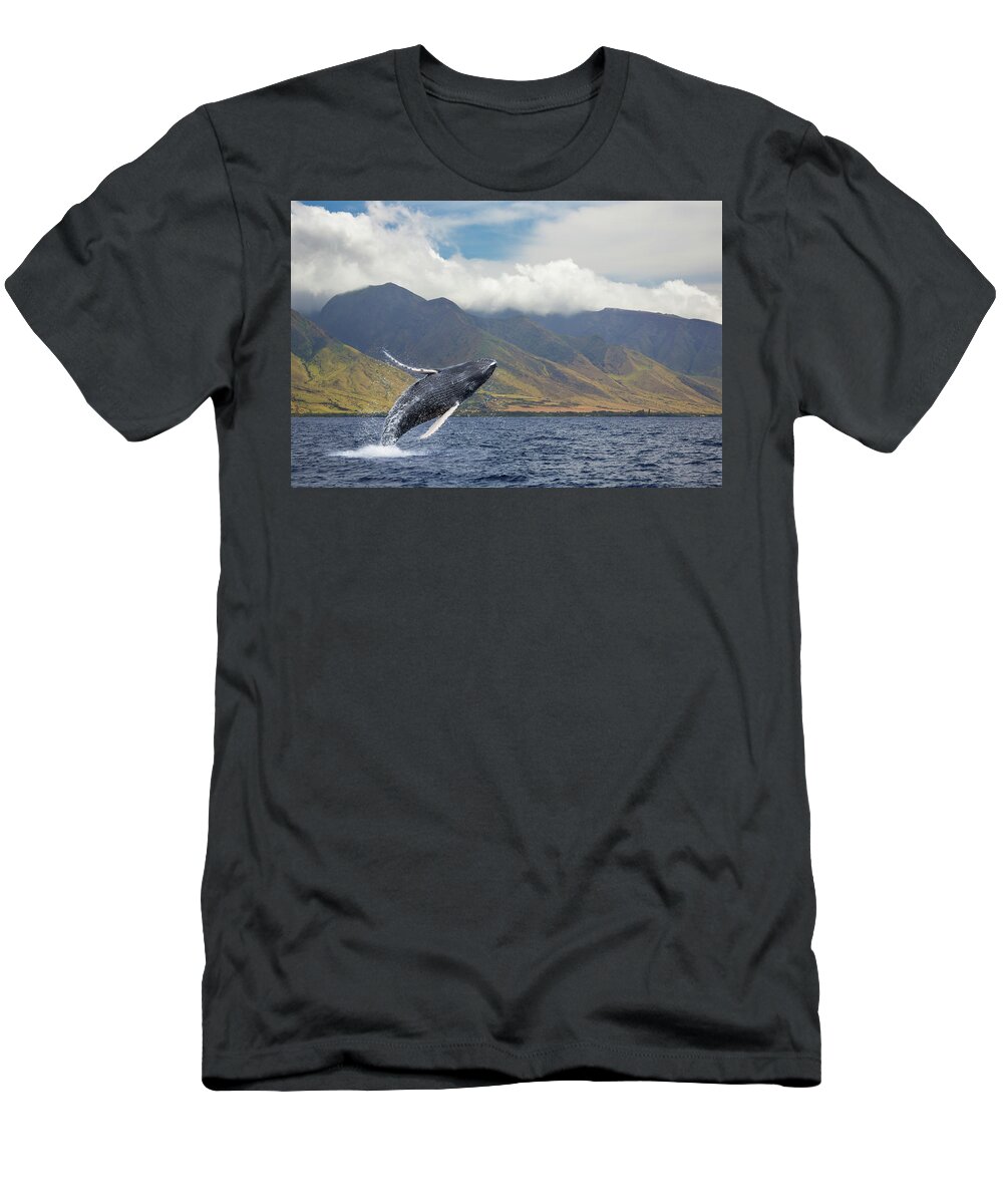 Animals In The Wild T-Shirt featuring the photograph A Breaching Humpback Whale Megaptera by Dave Fleetham