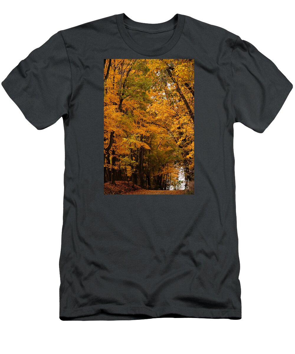 Autumn T-Shirt featuring the photograph A Canapy of Golden Leaves by Linda Shafer
