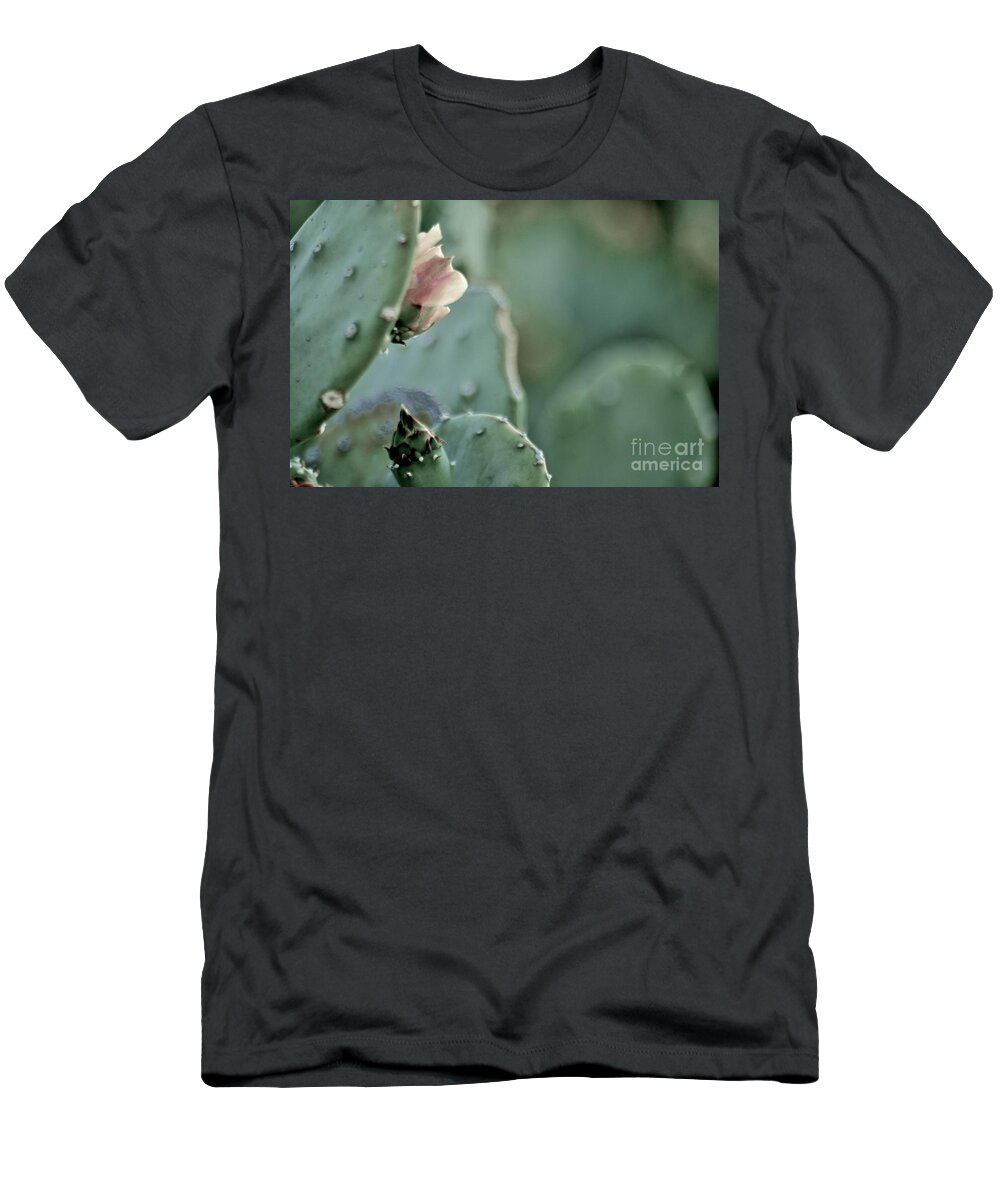 Opuntia T-Shirt featuring the photograph A DeserT ShaDE oF PaLE by Angela J Wright