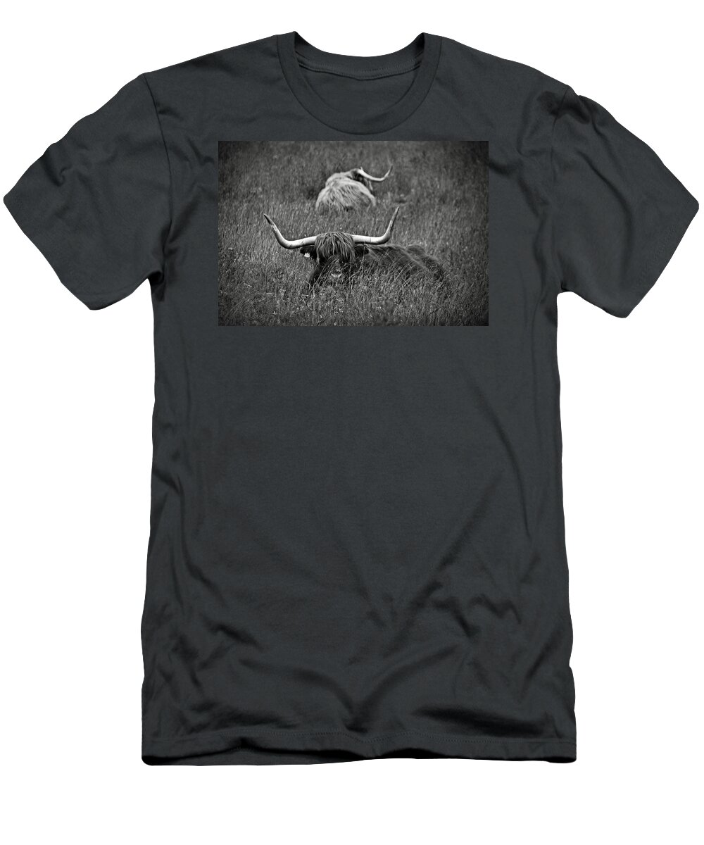 Bw T-Shirt featuring the photograph A Highland cattle in the Scottish Highlands by RicardMN Photography