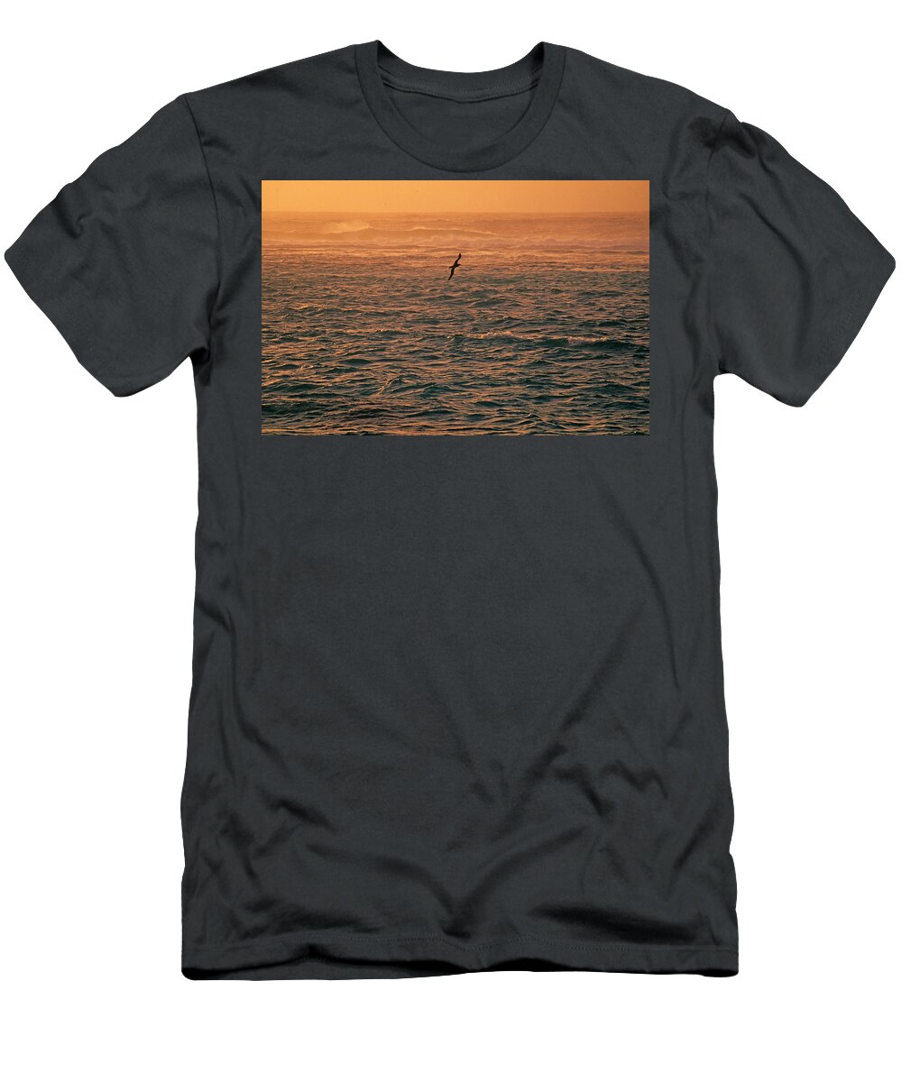 Albatross T-Shirt featuring the photograph A Laysan Albatross Flying by Stephen Gorman