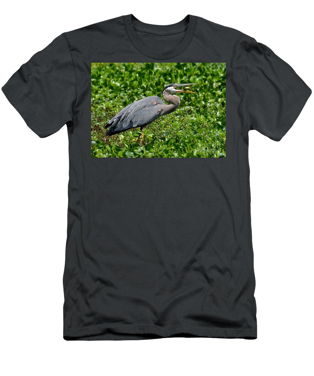 Birds T-Shirt featuring the photograph A Little Snack by Kathy Baccari