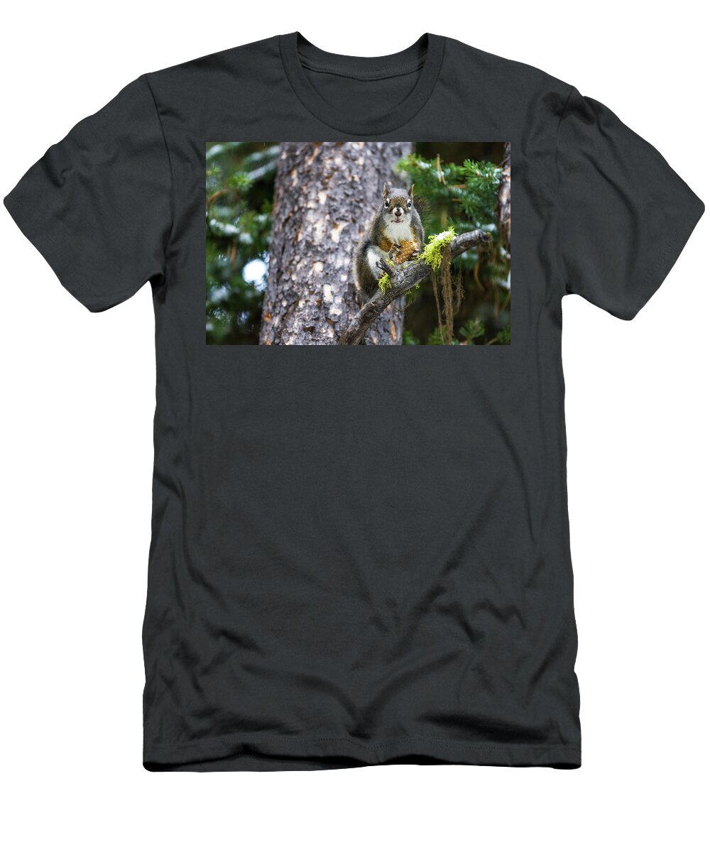 Nature T-Shirt featuring the photograph A Squirrel Stares Into The Carmera by Robin Carleton