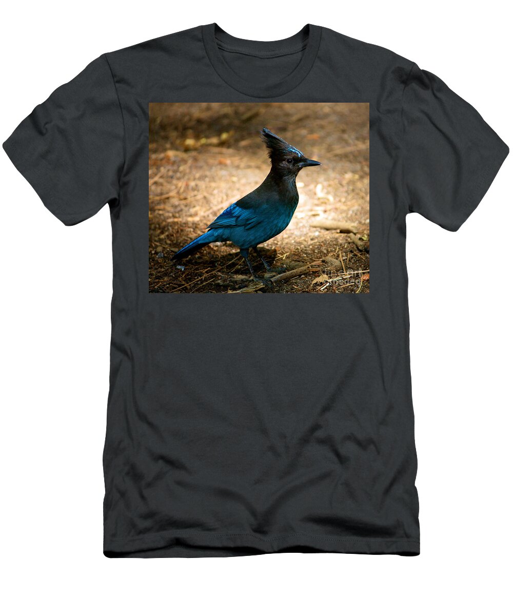Stellar Jay T-Shirt featuring the photograph A Stellar Jay by Lisa Billingsley