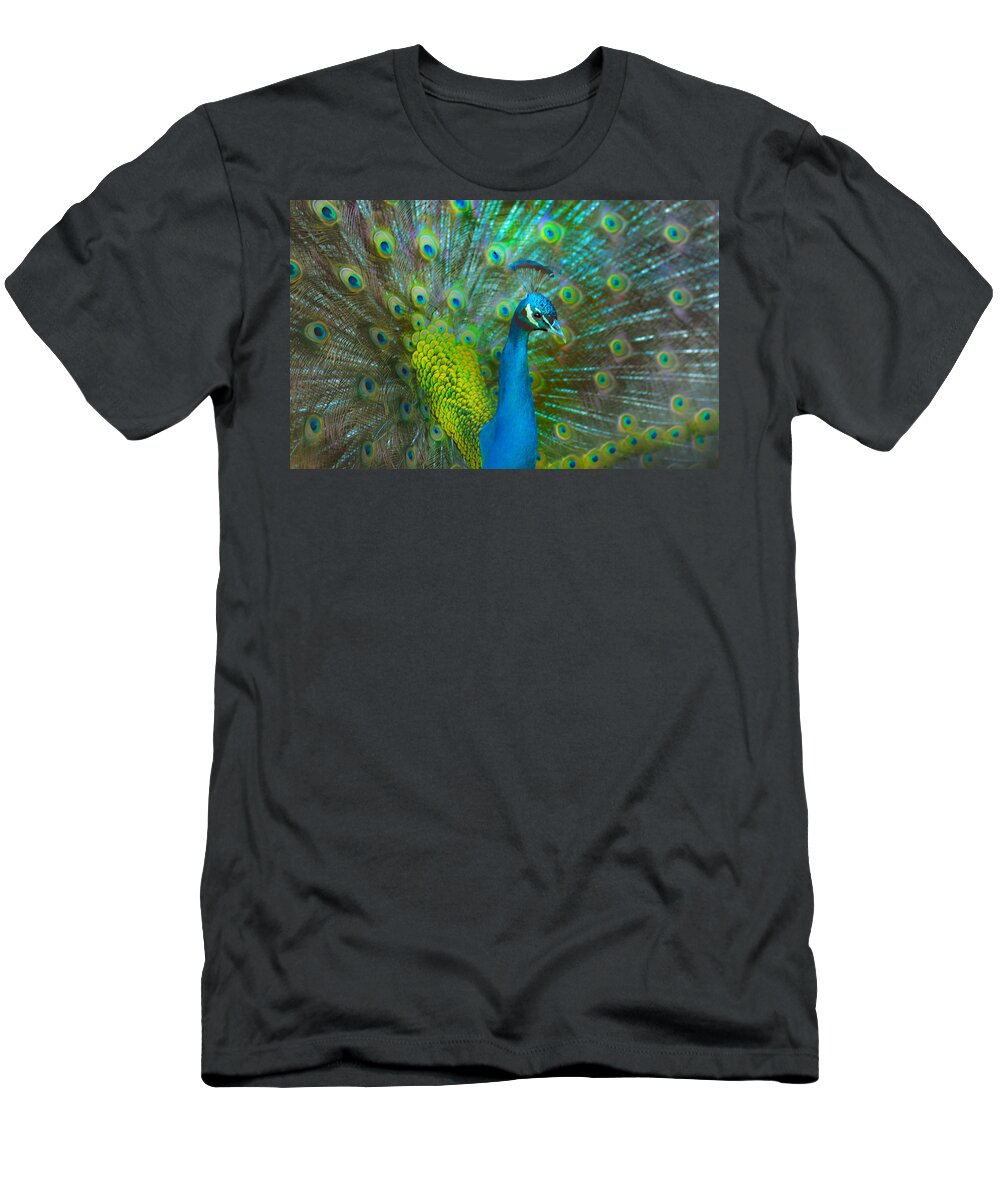 Peacock T-Shirt featuring the photograph Peacock Face Mask by Patricia Dennis