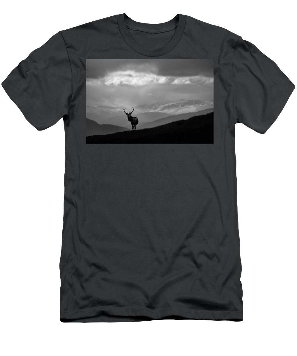 Stag Silhouette T-Shirt featuring the photograph Above The Glens by Gavin Macrae