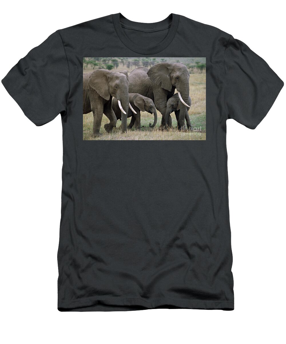 00344769 T-Shirt featuring the photograph African Elephant Females And Calves by Yva Momatiuk and John Eastcott