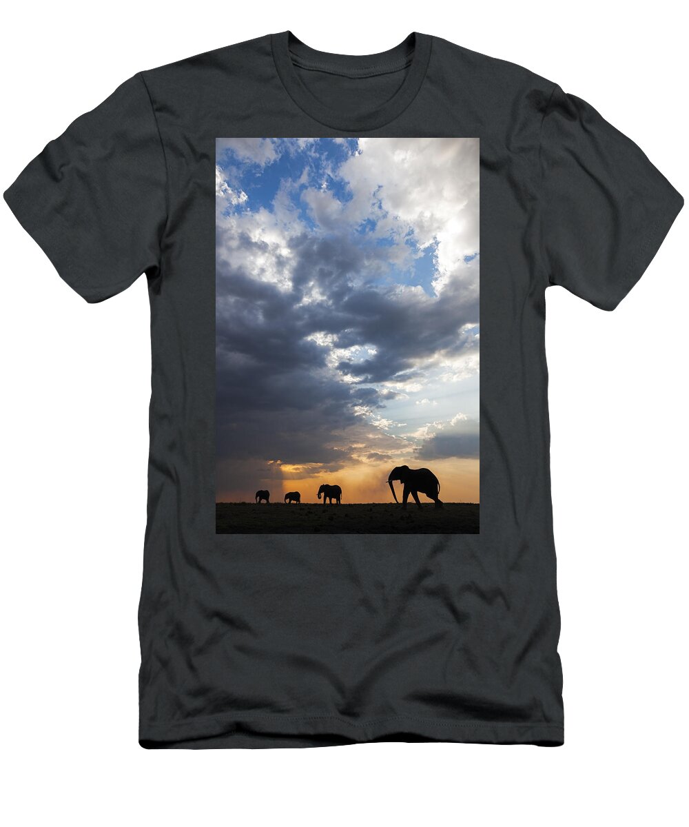 Vincent Grafhorst T-Shirt featuring the photograph African Elephants At Sunset Botswana by Vincent Grafhorst