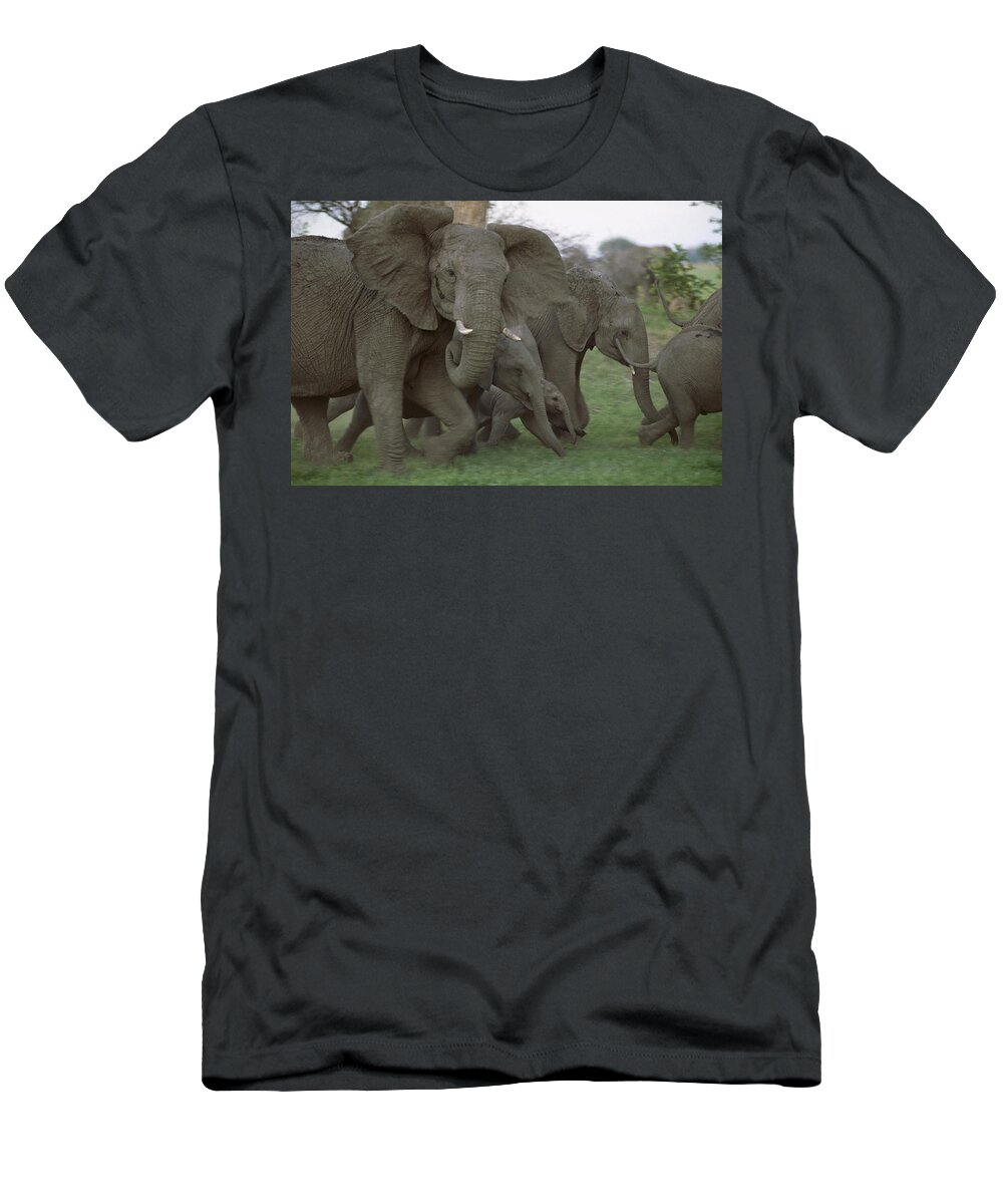 Feb0514 T-Shirt featuring the photograph African Elephants Linyanti Swamp by Gerry Ellis