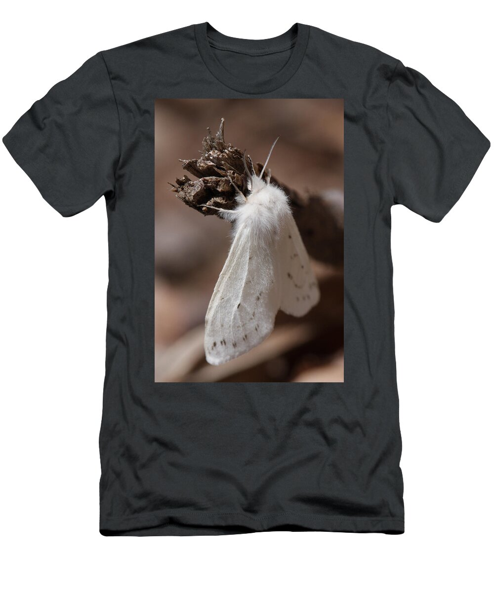 Agreeable Tiger Moth T-Shirt featuring the photograph Agreeable Tiger Moth by Daniel Reed