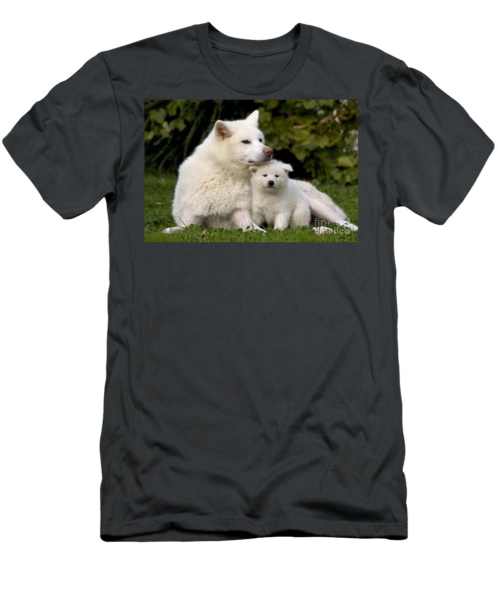 Dog T-Shirt featuring the photograph Akita Inu Dog And Puppy by Jean-Michel Labat