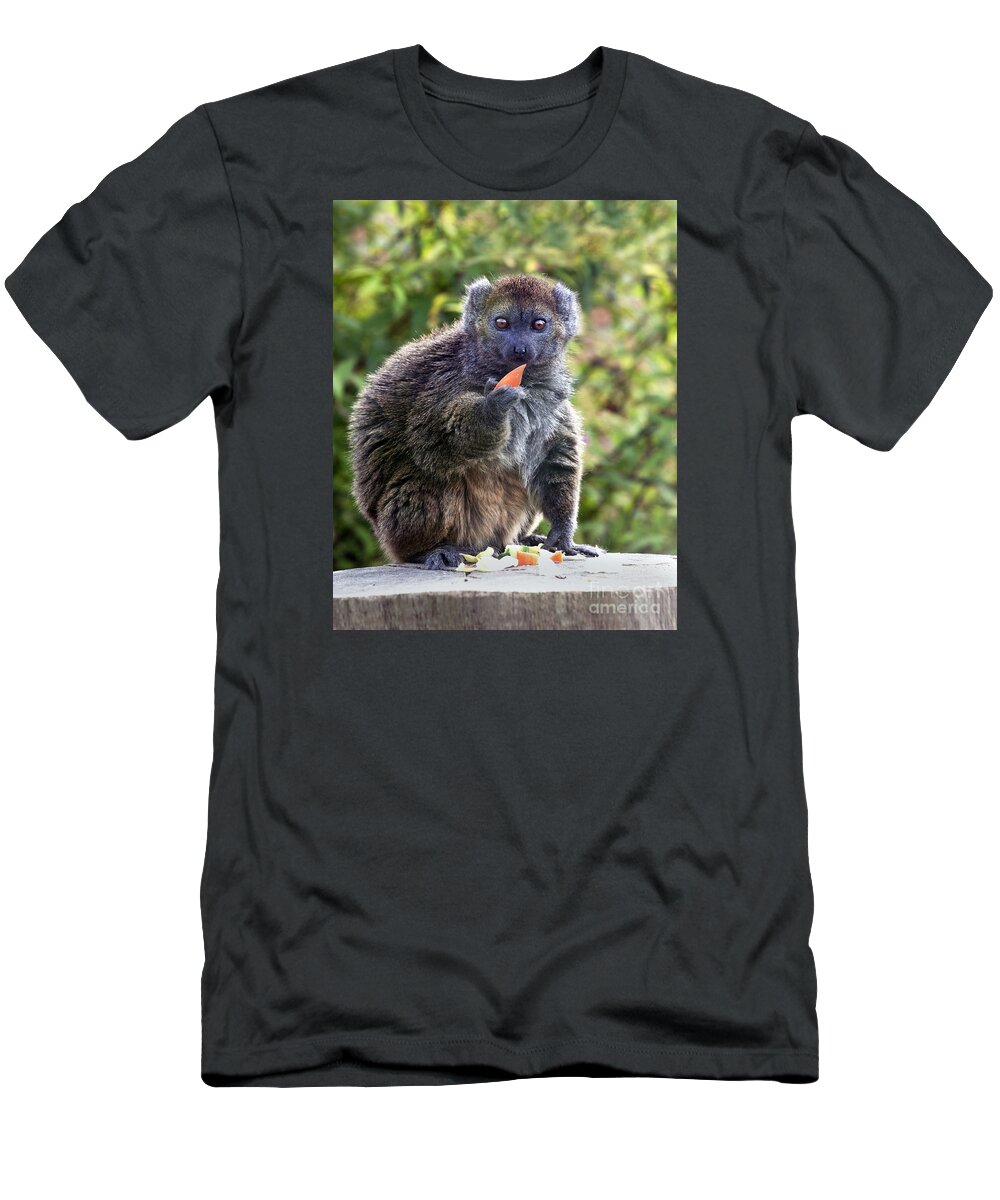 Alaotran Gentle Lemur T-Shirt featuring the photograph Alaotran Gentle Lemur by Terri Waters