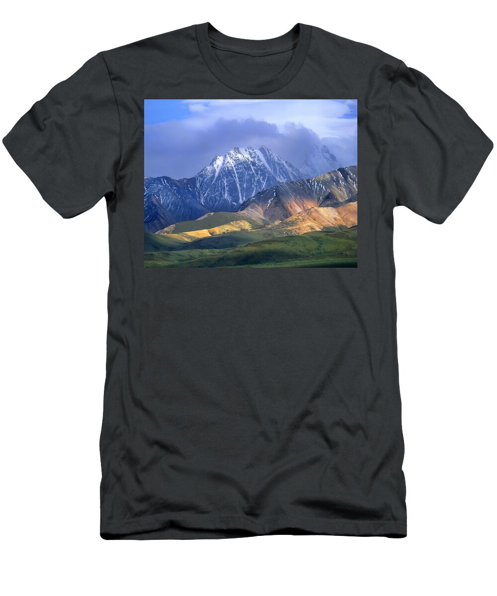 00175652 T-Shirt featuring the photograph Alaska Range And Foothills Denali by Tim Fitzharris