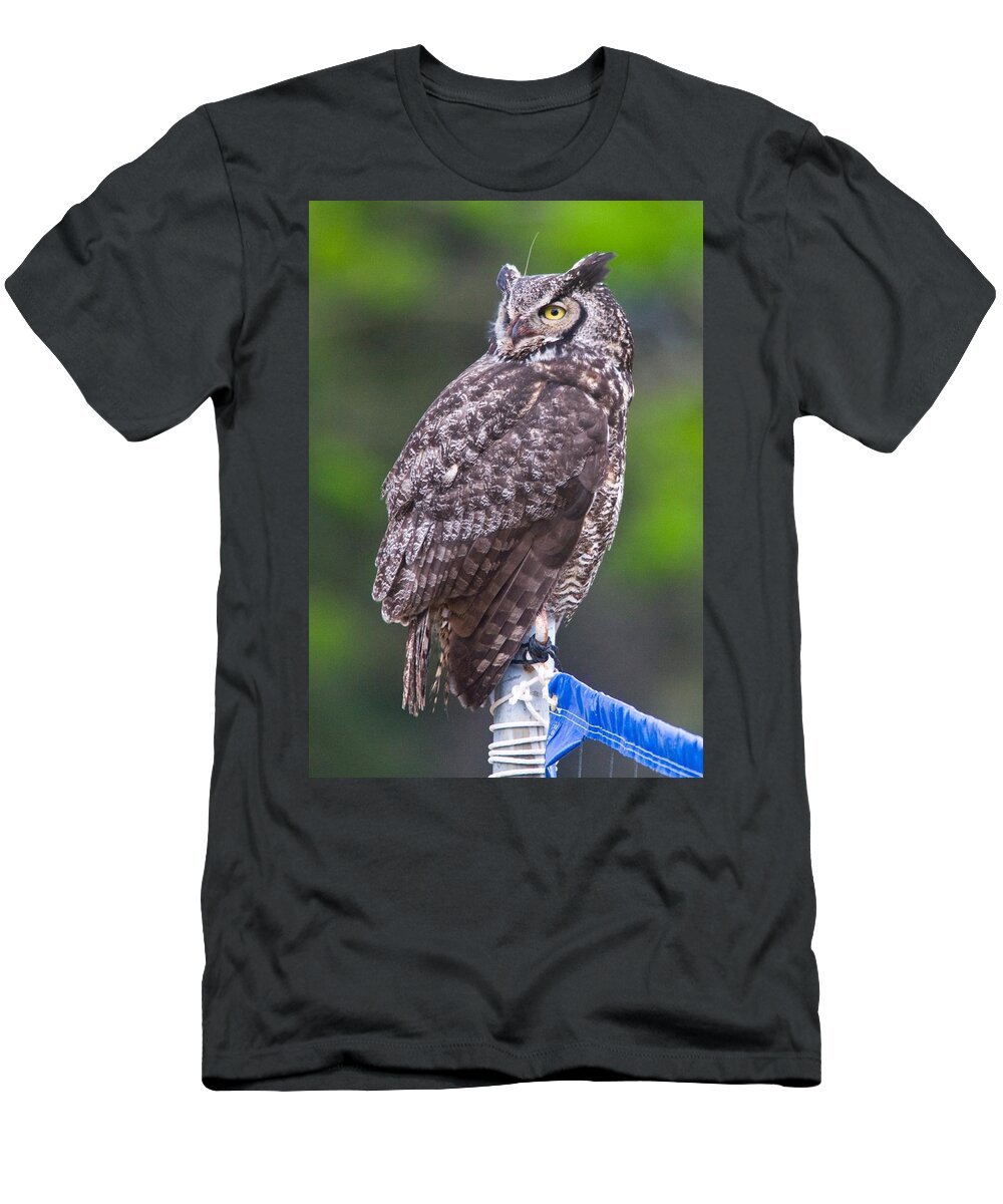 Wildlife T-Shirt featuring the digital art Alaskan Owl by National Park Service
