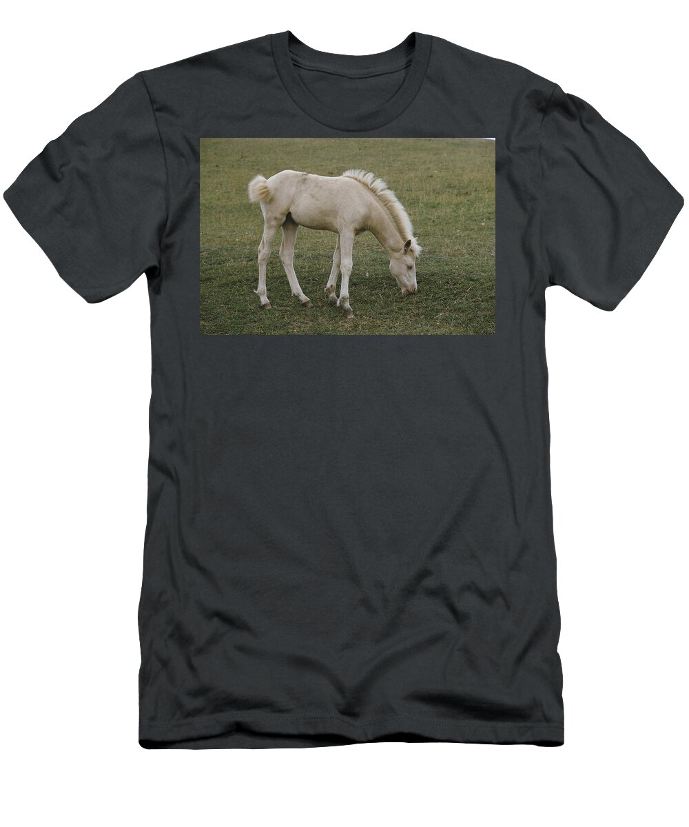 Albinic T-Shirt featuring the photograph Albino Foal by Elisabeth Weiland