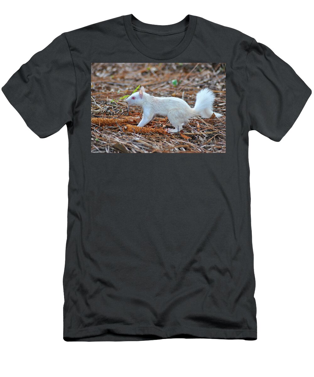 Albino Squirrel T-Shirt featuring the photograph Albino Squirrel by Geolina Photography And Productions