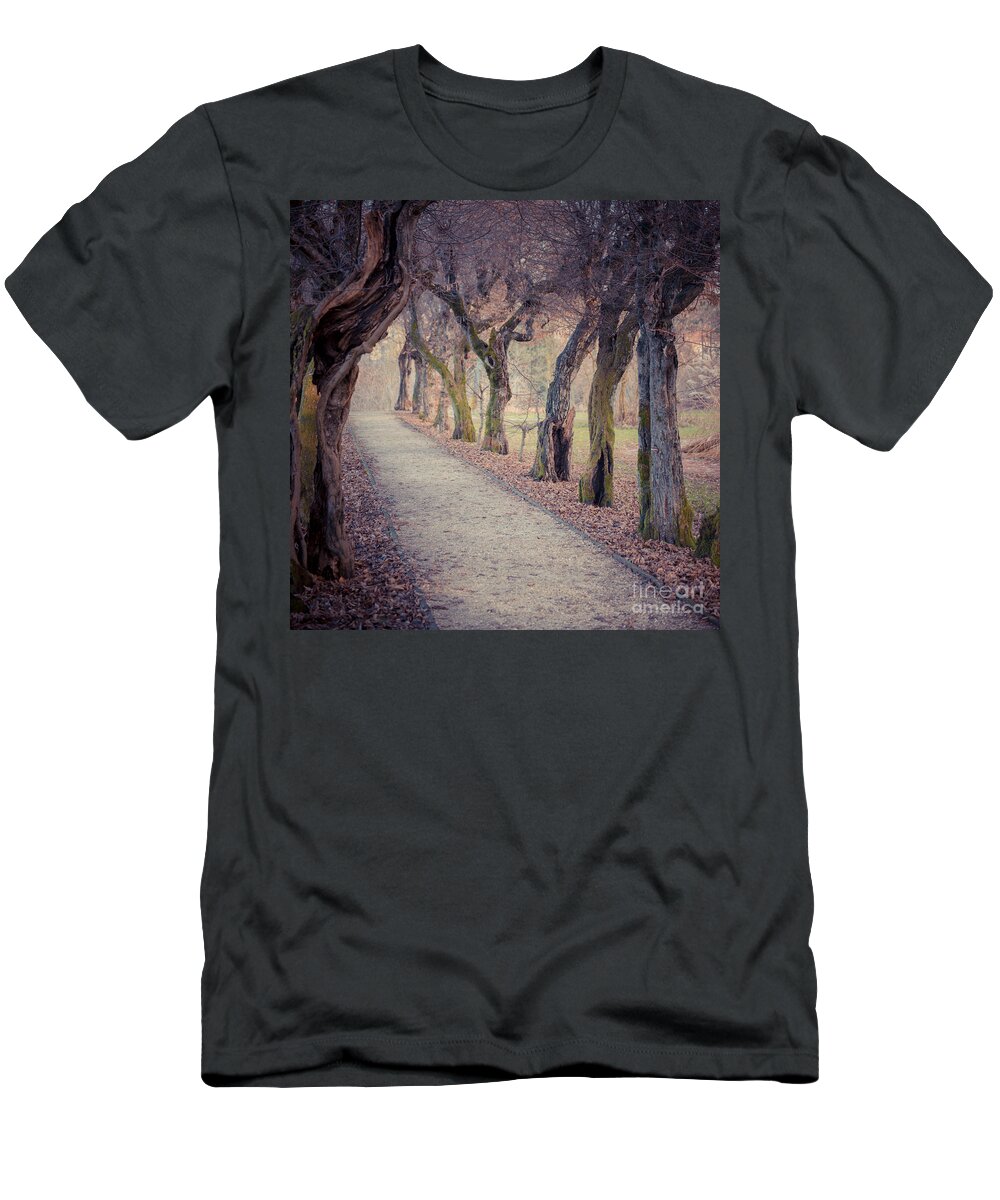 Austria T-Shirt featuring the photograph Alley - Square by Hannes Cmarits