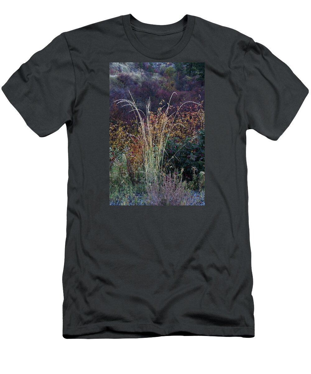Weed T-Shirt featuring the photograph Along Dryden Road by Robert Woodward