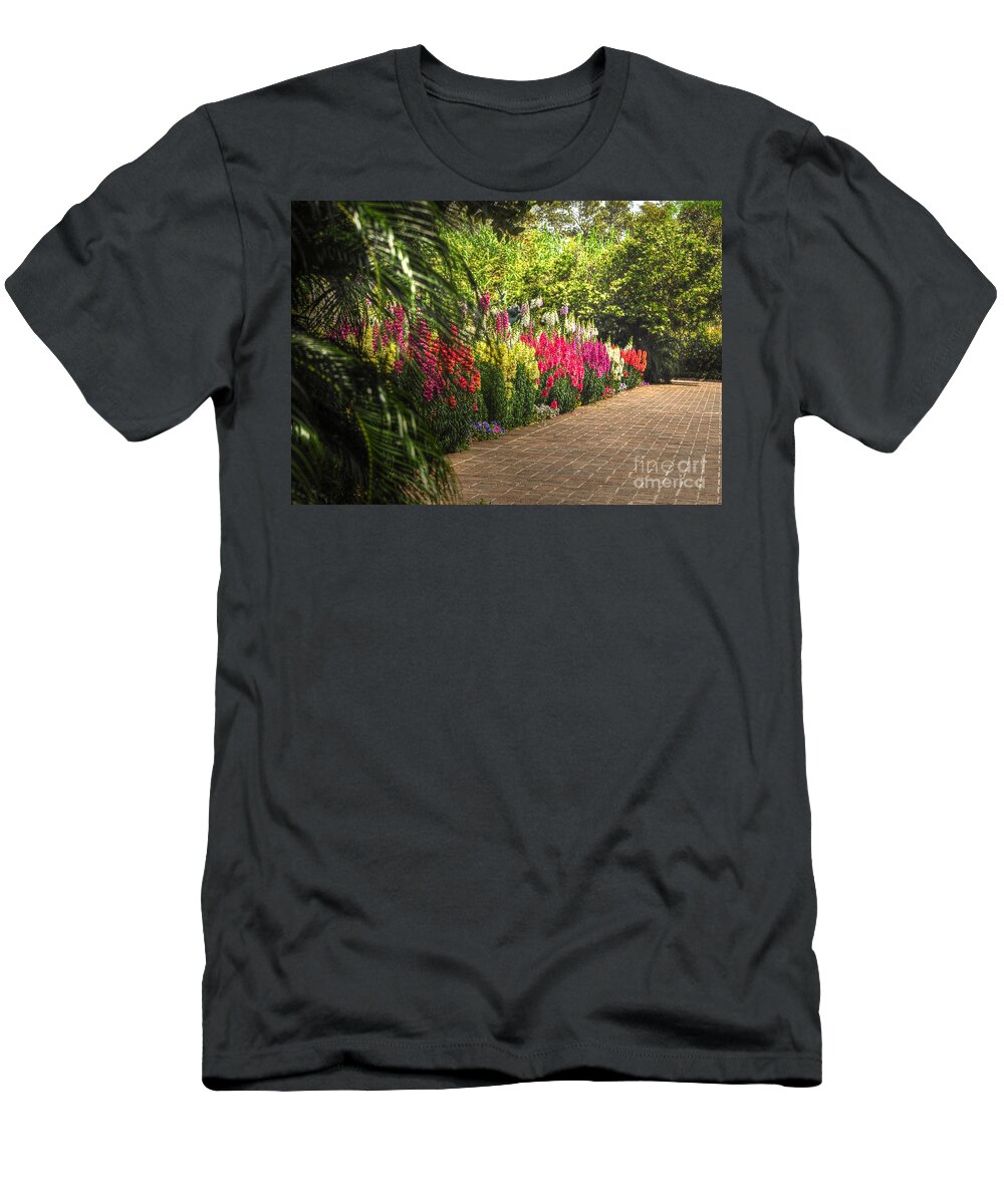 Garden T-Shirt featuring the photograph Along The Garden Path by Kathy Baccari