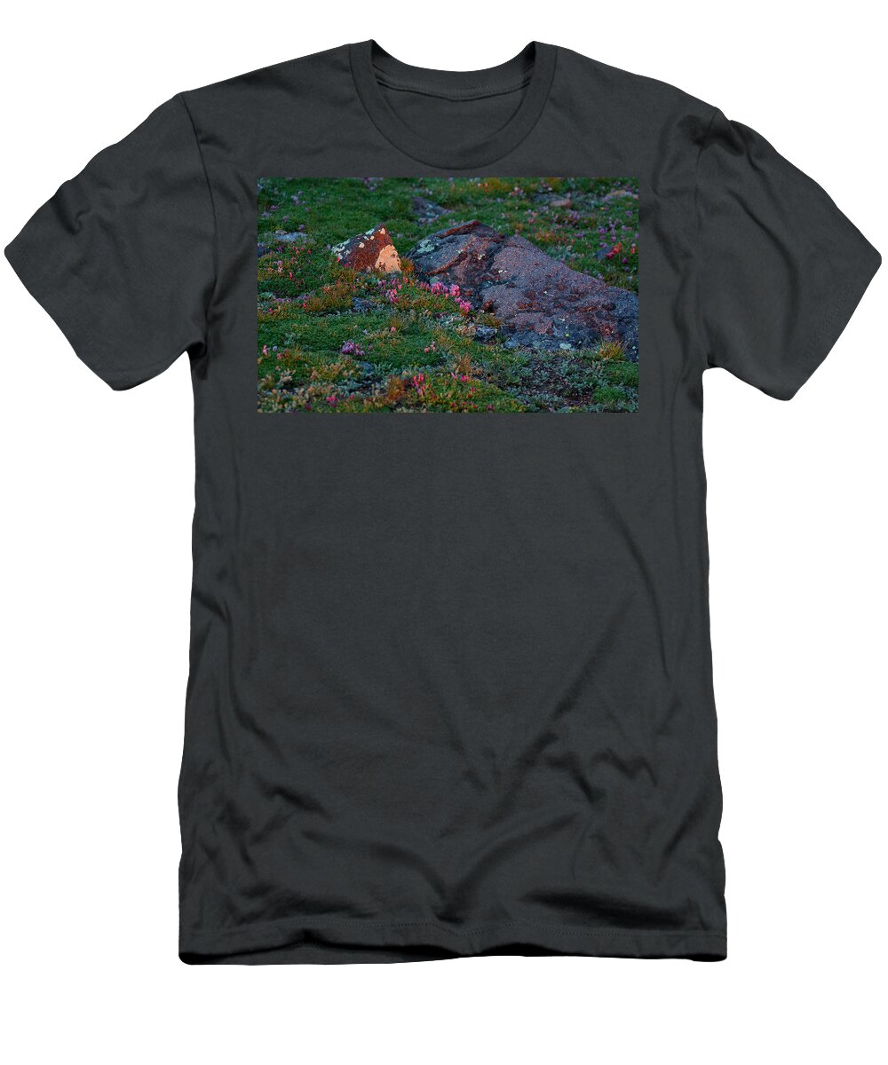 Alpine T-Shirt featuring the photograph Alpine Blush by Jim Garrison