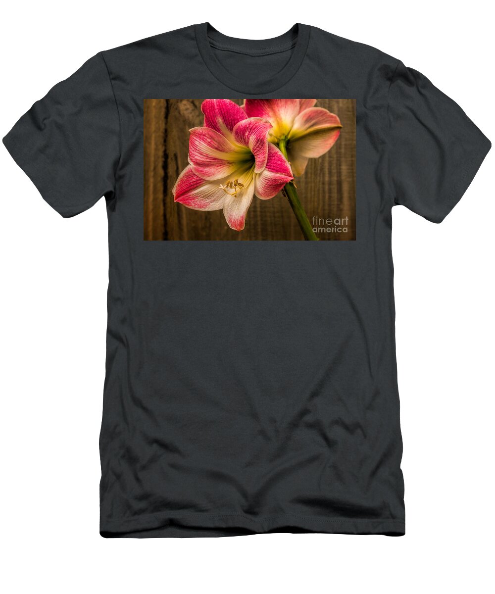Art Prints T-Shirt featuring the photograph Amaryllis Blooms by Dave Bosse